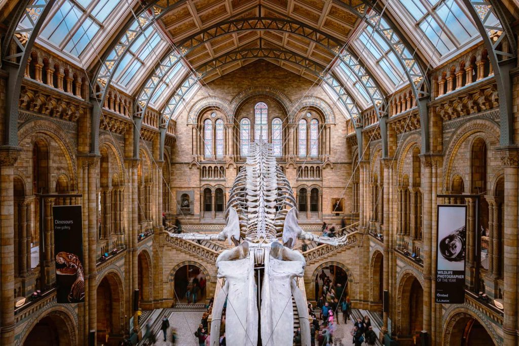 18 Best Museums in London You Have to See in 2023