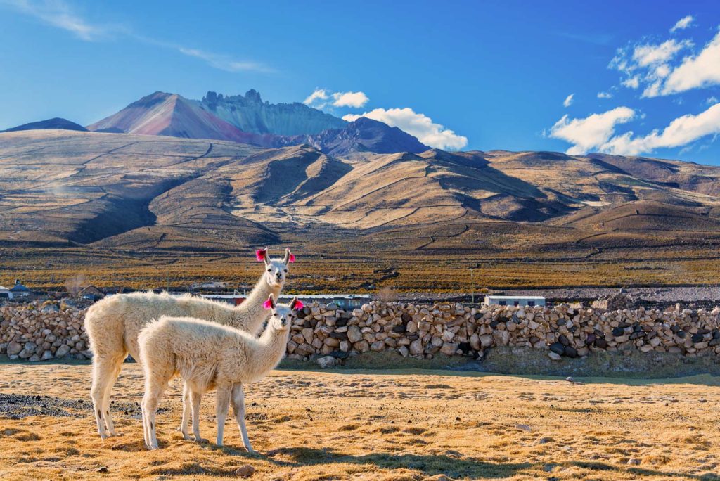 20 Best Things To Do In Bolivia In 2023